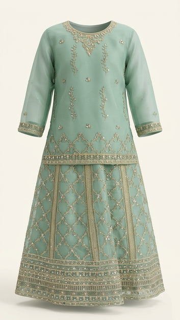 Organza Girls Lehnga